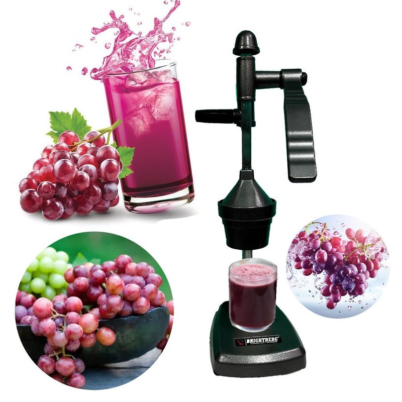 BRIGHTBERG BRIGHTBERG Hand Pressure JuicerFruits JuicerVegetable JuicerManual Hand Juicer Juicer30  - Image 2