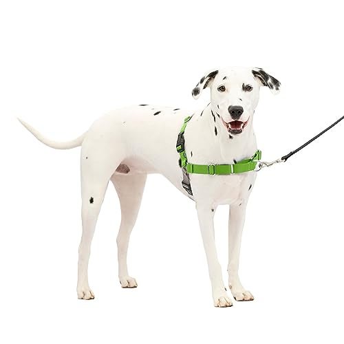 PetSafe Easy Walk Harness for Dogs - Pull-Free Walks - Patented Martingale Loop Design - Front Chest Leash Attachment - Comfort Straps - Breathable Harness Design - Medium/Large, Apple Green/Gray - Image 1
