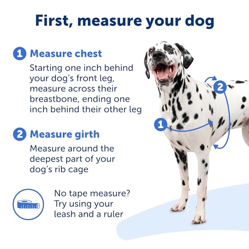 PetSafe Easy Walk Harness for Dogs - Pull-Free Walks - Patented Martingale Loop Design - Front Chest Leash Attachment - Comfort Straps - Breathable Harness Design - Medium/Large, Apple Green/Gray - Image 5