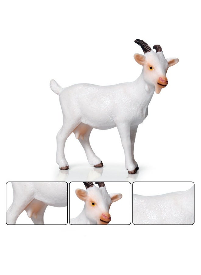 هالامودو 3 قطع غنم أبيض نموذج حيوان العائلة، تمثال حيوان الغابة الصغيرة الواقعي، محاكاة صلبة شكل عمل الأغنام البيضاء، لعبة الأطفال المعرفية، ديكور كعكة صغيرة، حفلة عيد ميلاد مجموعة الهدايا، 12.5*4.5*7 سم - Image 3