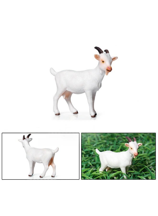 هالامودو 3 قطع غنم أبيض نموذج حيوان العائلة، تمثال حيوان الغابة الصغيرة الواقعي، محاكاة صلبة شكل عمل الأغنام البيضاء، لعبة الأطفال المعرفية، ديكور كعكة صغيرة، حفلة عيد ميلاد مجموعة الهدايا، 12.5*4.5*7 سم - Image 2