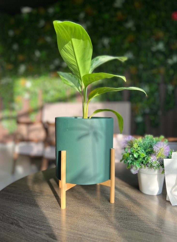 إناء كبير من السيراميك و بتصميم عصري مع حامل خشبي من الخيزران ( المنتج لايشمل النبات ) - Image 2