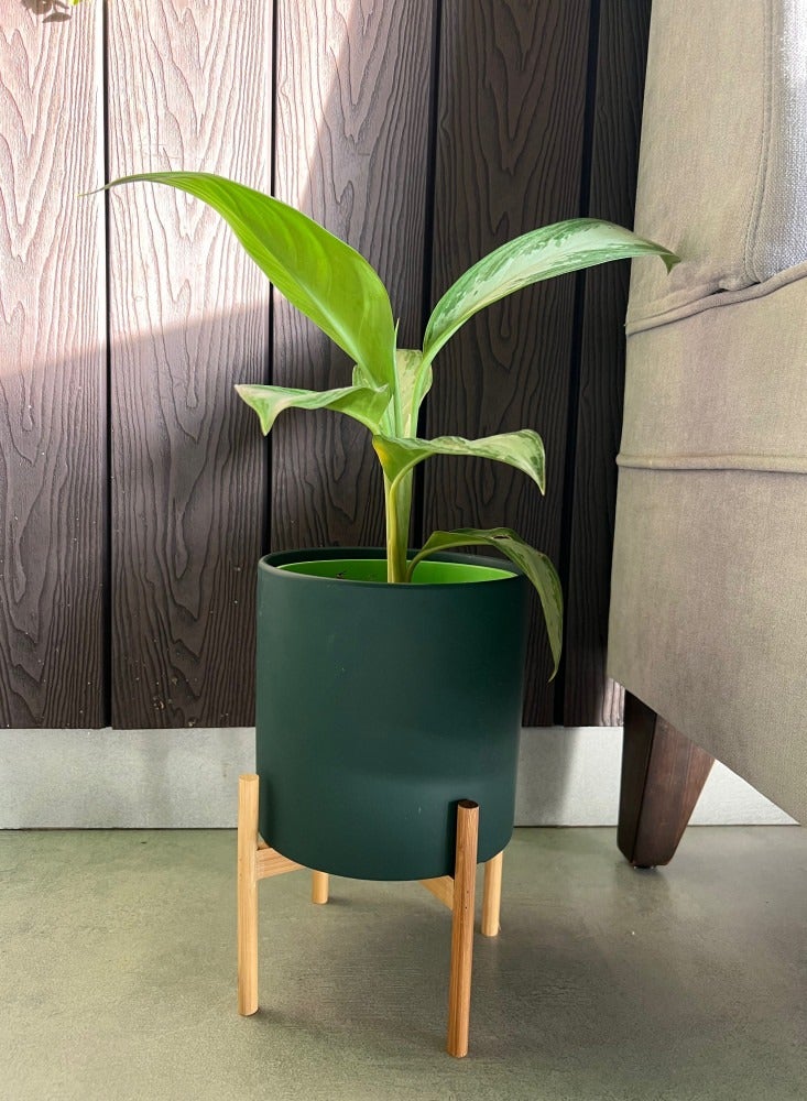 إناء كبير من السيراميك و بتصميم عصري مع حامل خشبي من الخيزران ( المنتج لايشمل النبات ) - Image 1