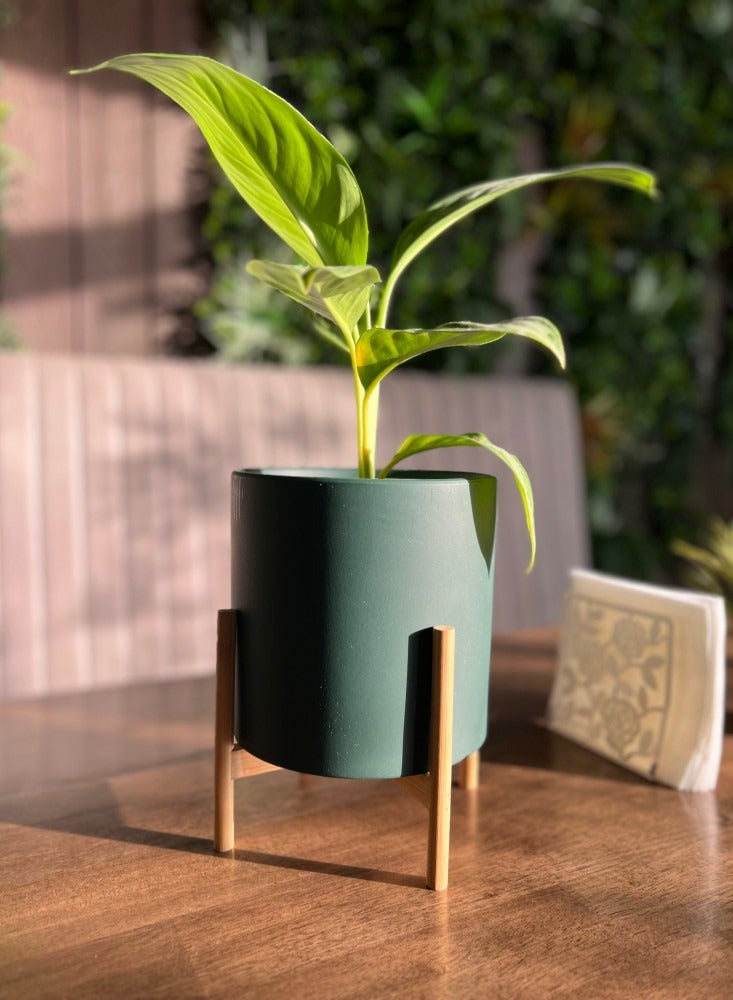 إناء كبير من السيراميك و بتصميم عصري مع حامل خشبي من الخيزران ( المنتج لايشمل النبات ) - Image 3