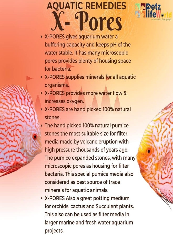 VAYINATO Aquatic Remedies Pack Of 1(500G)X-Pores Filter Media,Natural Pumice Porous And Mineral Filter Media For Aquarium Fish Tank - Image 4