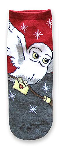 HYP Harry Potter Hedwig Hogwarts Letter Juniors/Womens 5 Pack Ankle Socks Size 4-10 Multi - Image 2