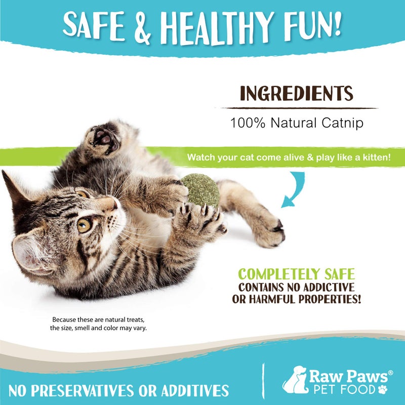 Raw Paws Catnip Balls for Cats, (6-Count) - Interactive Cat Toy for Indoor Cats - Cat Nip Licking Balls - Image 4