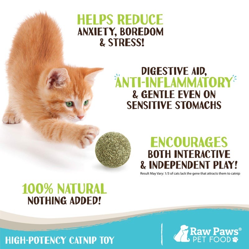 Raw Paws Catnip Balls for Cats, (6-Count) - Interactive Cat Toy for Indoor Cats - Cat Nip Licking Balls - Image 2