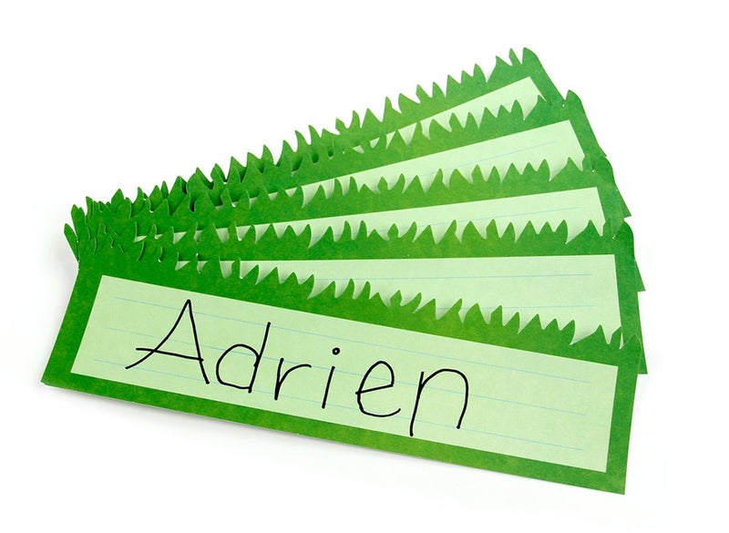 Hygloss Products Die-Cut Name Plate - Great Teaching Tool - Perfect for Labeling in Classroom & Other Uses - Green Grass Design - 9.5 x 3 inches - 30 Pk (45501) - Image 1