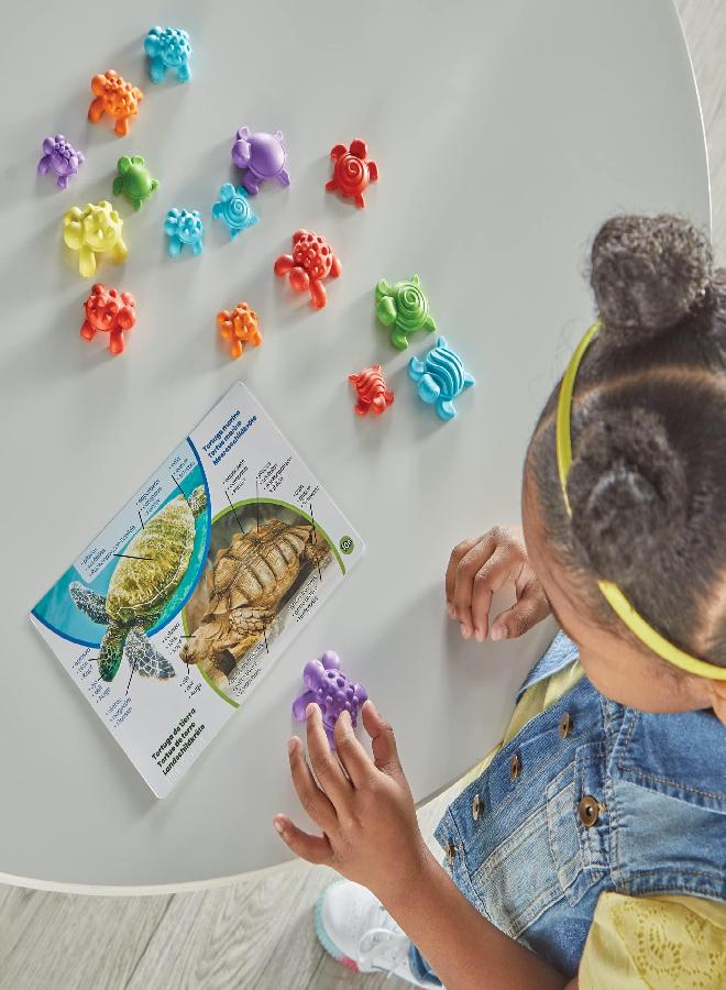 hand2mind hand2mind Tactile Turtles Math Activity Set, Toddler Numbers and Counting, Math Counters for Kids, Color Sorting Toys, Sensory Turtle Game, Preschool Learning Activities, Montessori Math Materials  - Image 3