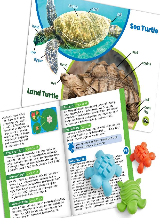 hand2mind hand2mind Tactile Turtles Math Activity Set, Toddler Numbers and Counting, Math Counters for Kids, Color Sorting Toys, Sensory Turtle Game, Preschool Learning Activities, Montessori Math Materials  - Image 4