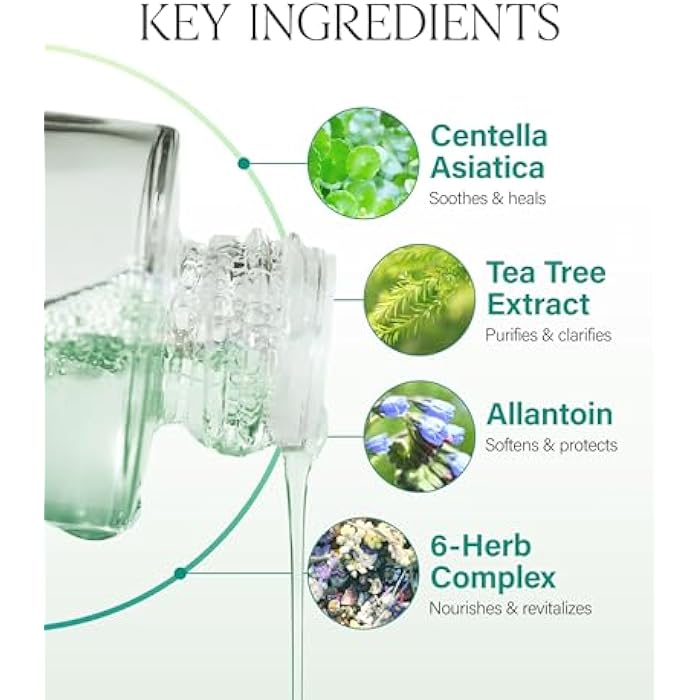 ABOUT ME SOOP Calming Aqua Toner – Korean 90.6% Jeju Cypress Water pH Balancing Toner for All Skin Types – Daily Gentle Exfoliation with Mandelic Acid & Centella – Korean Skin Care – 6.59oz, 195ml - Image 4