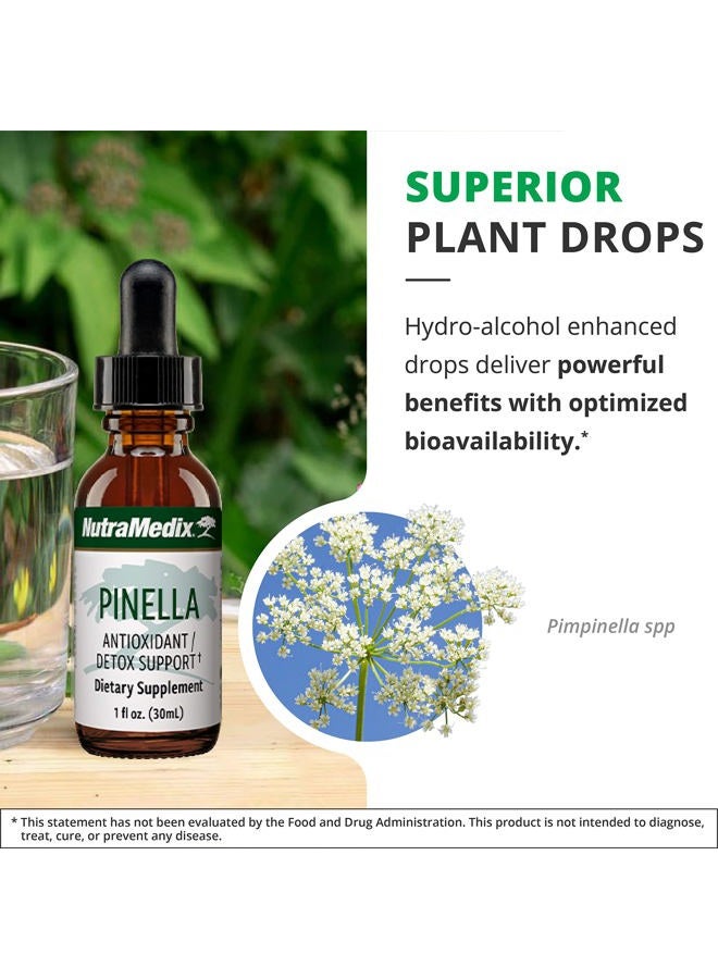 Nutramedix NutraMedix Pinella - Liquid Anise Drops to Help Support Detox, Cleansing, Concentration & Brain Health - Pimpinella Anisum Extract May Help to Fight Occasional Brain Fog (1 oz / 30 ml)  - Image 5