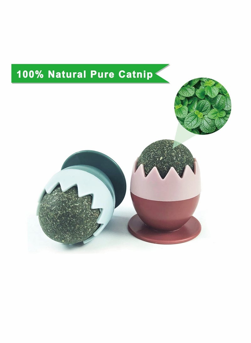 SYOSI Catnip Balls Toy for Cats, Rotatable Edible Kitty Toys for Cats Lick, Teeth Cleaning Dental Kitten Chew Toys, Safe Healthy Cat Wall Treats for Kitten (Green+Pink) - Image 2