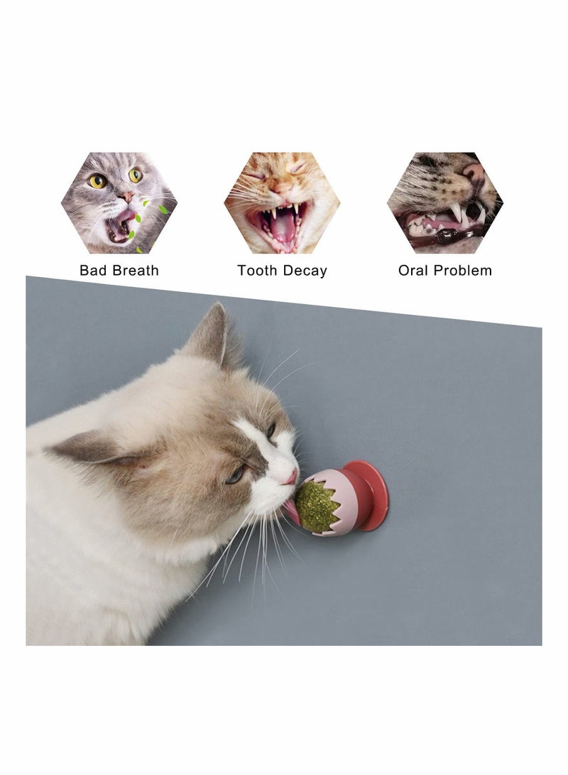 SYOSI Catnip Balls Toy for Cats, Rotatable Edible Kitty Toys for Cats Lick, Teeth Cleaning Dental Kitten Chew Toys, Safe Healthy Cat Wall Treats for Kitten (Green+Pink) - Image 3