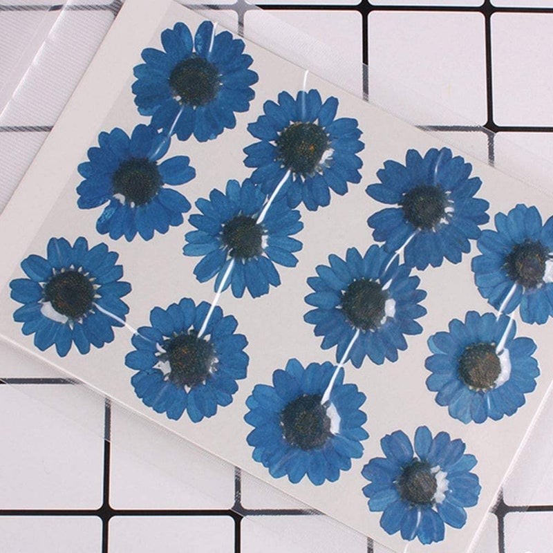 Eoast Natural Dried Flower for Resin Art Decorative| for Candle|Handmade Epoxy Crafts| DIY Jewelry |Photoframe Ornament | Resin Art|SOAP Making -Assorted (Daisy/Crystal [ Luxury Dark Blue]) - Image 1
