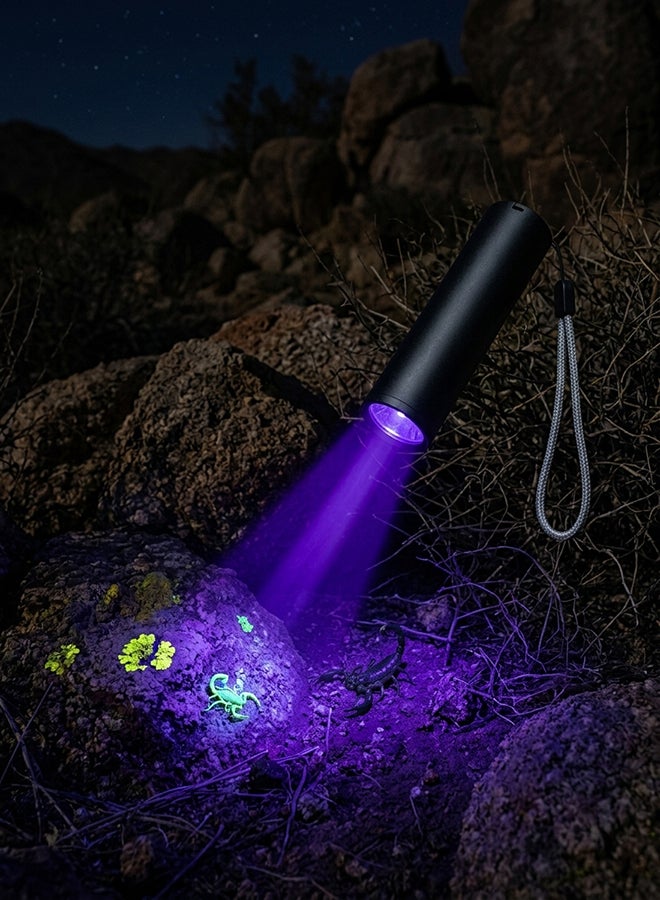 Home Care Mini UV Flashlight, Compact Ultraviolet Pocket Torch, USB-C Rechargeable, Aluminum Alloy Body, Tail Switch with Glow Indicator, Wrist Strap Included – Ideal for Pet Stain, Scorpion & Leak Detection - Image 3