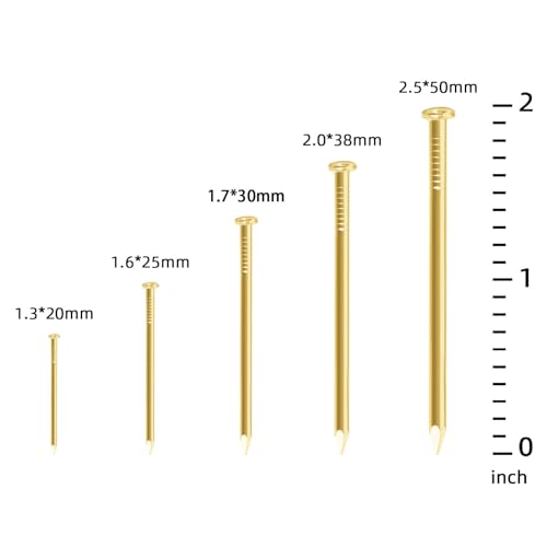 OUSCHR 400 PCS Round Head Nails, 1 Inches Hardware Nail, Nails for Hanging Pictures, Wood Nails, Gold Nails, Household Nails - Image 3
