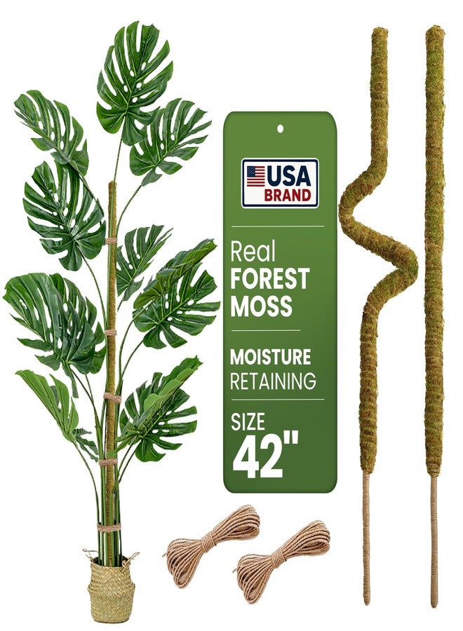 K-Brands 2 Pack 42'' Bendable Moss Pole - Real Forest Moss - Monstera Plant Support - Moss Pole for Plants Monstera - Moss Poles for Climbing Plants - Plant Sticks Support Plant Stakes for Indoor Plants Potted - Image 1