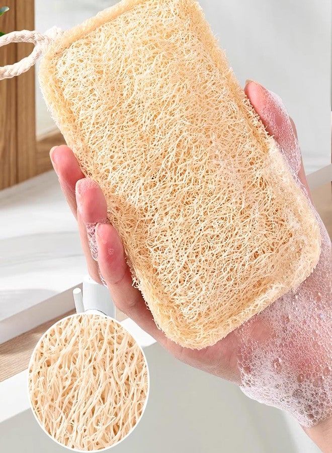UtySty 3 Pack Natural Non Scratch Scrub Sponge Eco Friendly and Compostable Plant Fiber Loofah Dish Sponge Natural Kitchen Sponges Scrubbers for Dishes Biodegradable Cleaning Sponges - Image 3