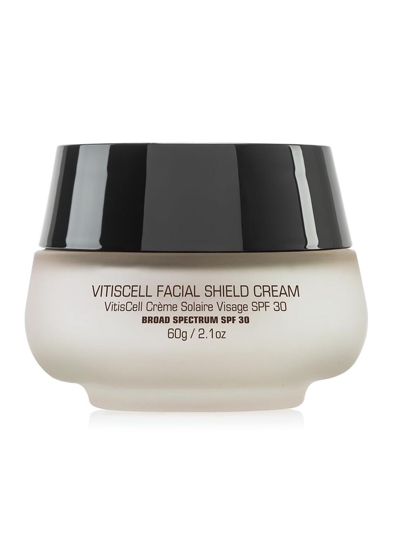 Introstem - Introstem VitisCell Facial Shield Cream SPF 30 60g  21oz - Image 1