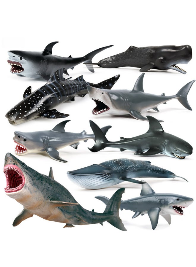 Children's Solid Simulation Ocean Life Models Great White Shark Megalodon Whale Shark Tiger Blue Whale Toys Ornaments-Color:Wild Marine Animals (5 Sets) 0.61kg - Image 2
