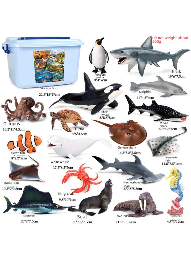 Children's Solid Simulation Ocean Life Models Great White Shark Megalodon Whale Shark Tiger Blue Whale Toys Ornaments-Color:Wild Marine Animals (5 Sets) 0.61kg - Image 4