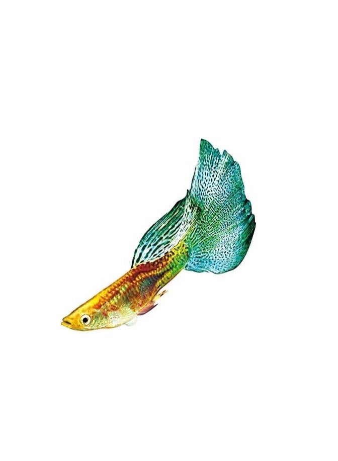 Sera Sera Guppy Gran Nature 100ml-44G, Multicolor  - Image 5