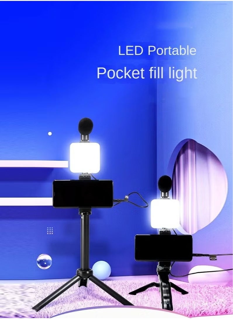 Mobile phone holder for live broadcasting, with fill light