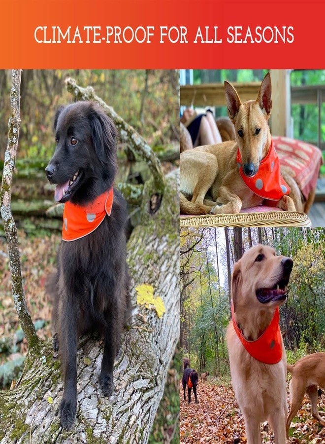 SPOT THE DOG! Reflective Dog Bandanas - High Visibility Safety Dog Accessories, Orange Collar, Fluorescent Dog Apparel for Walking, Hiking and Camping, Scarf, Bib Gear for Hunting (Blaze Orange, XS-S) - Image 4