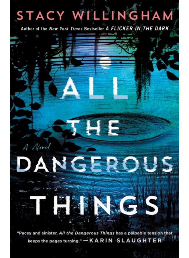 All the Dangerous Things : A Novel 