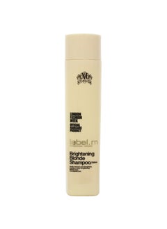 Label.M Label.M Brightening Blonde Shampoo, 10 Ounce 