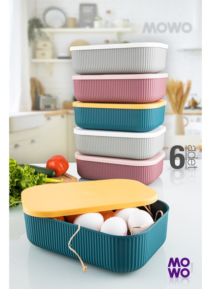 Trove 6 Pieces Kitchen Storage Container 3.2 lt - pzsku/Z83808F2F1C3550F24E5DZ/45/_/1730650444/037fa6e4-e700-4563-ad10-a2343a0dfe34