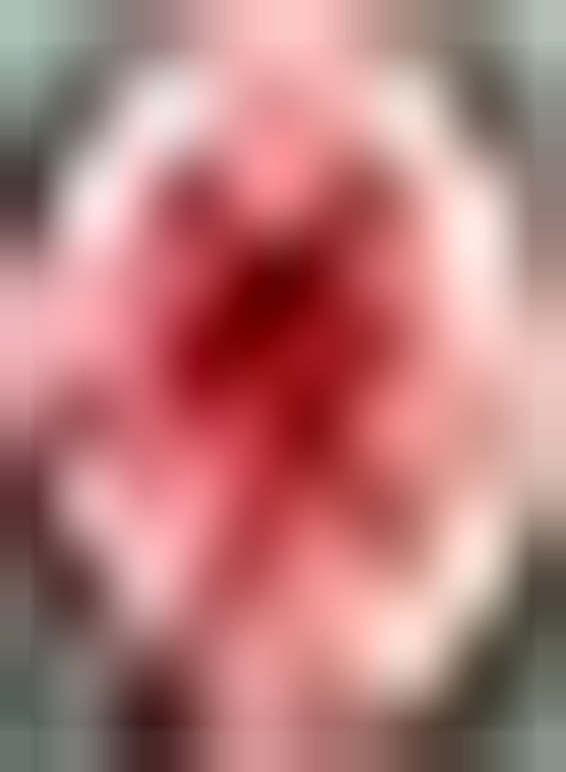 جي جوت 100 قطعة من بذور الداليا الوردية، زهور معمرة مقاومة للبرد، ديكور للحديقة، زراعة رائعة في قطع على شكل حرفة فنية للمناظر الطبيعية - Image 1