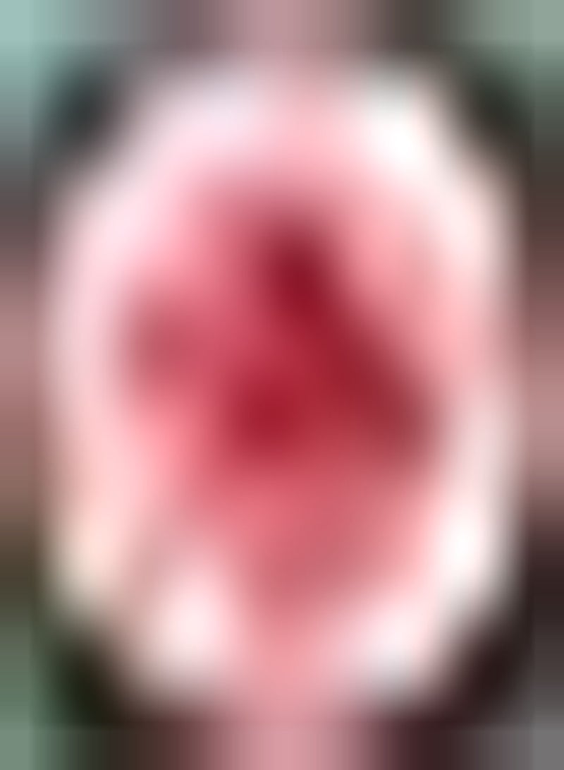 جي جوت 100 قطعة من بذور الداليا الوردية، زهور معمرة مقاومة للبرد، ديكور للحديقة، زراعة رائعة في قطع على شكل حرفة فنية للمناظر الطبيعية - Image 2