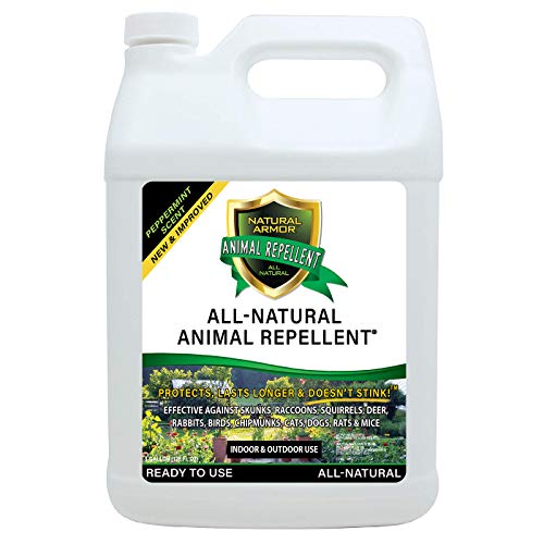 Natural Armor Animal & Rodent Repellent Spray. Repels Skunks, Raccoons, Rats, Mice, Deer Rodents & Critters. Repeller & Deterrent in Powerful Peppermint Formula – 128 Fl Oz Gallon Refill RTU - Image 1