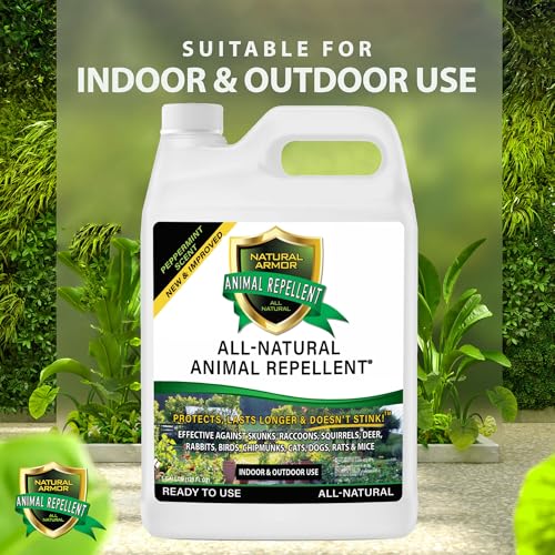 Natural Armor Animal & Rodent Repellent Spray. Repels Skunks, Raccoons, Rats, Mice, Deer Rodents & Critters. Repeller & Deterrent in Powerful Peppermint Formula – 128 Fl Oz Gallon Refill RTU - Image 2