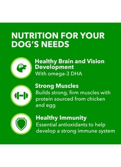 Iams IAMS Proactive Health Smart Puppy Small Breed Dry Dog Food with Real Chicken, 7 lb. Bag  - Image 3