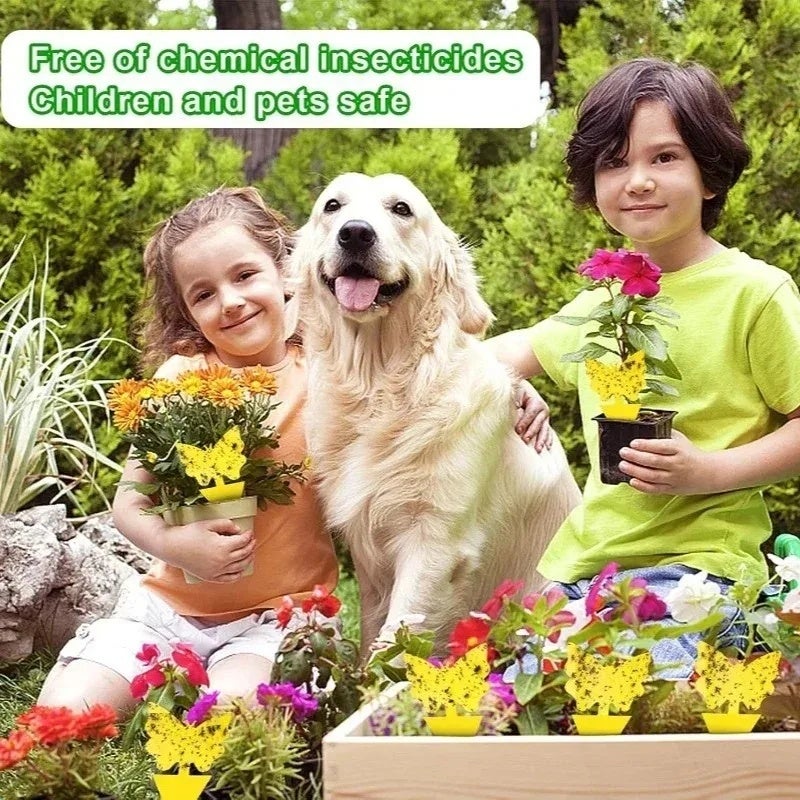 Fly Traps Strong Sticker Traps Bugs Yellow Sticky Board Mosquito Insect Killer Two-sided Glue Sticky Board for Greenhouse Garden - Image 5
