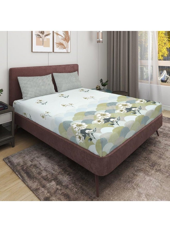 RD TREND تقدم RD TREND® ملاءة سرير فاخرة من القطن الناعم للغاية 210 Tc (100x108 بوصة) لسرير مزدوج بحجم كينغ مع 2 غطاء وسادة بحجم 18x28 (نقشة هينا الزهرية، حجم كينغ 100x108) - Image 1