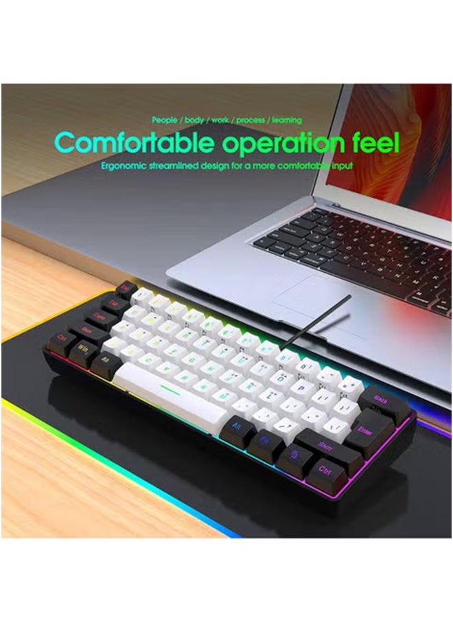 LCYLJGY - 61 Keys RGB Gaming Keyboard 60% Mini Wired Waterproof For Gamer - Image 1