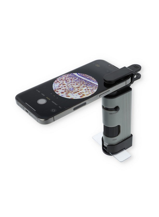 Carson MicroPic 120x-240x Magnification, High-Resolution LED Pocket Microscope with Smartphone Adapter Clip for Digiscoping, Educational STEM Tool (MP-400) - Image 5