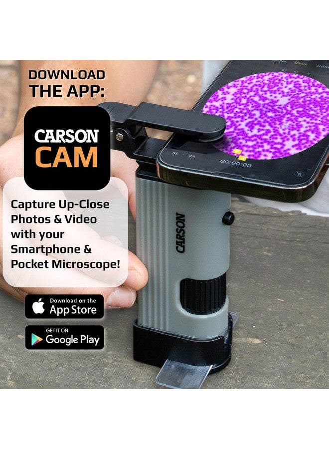 Carson MicroPic 120x-240x Magnification, High-Resolution LED Pocket Microscope with Smartphone Adapter Clip for Digiscoping, Educational STEM Tool (MP-400) - Image 3