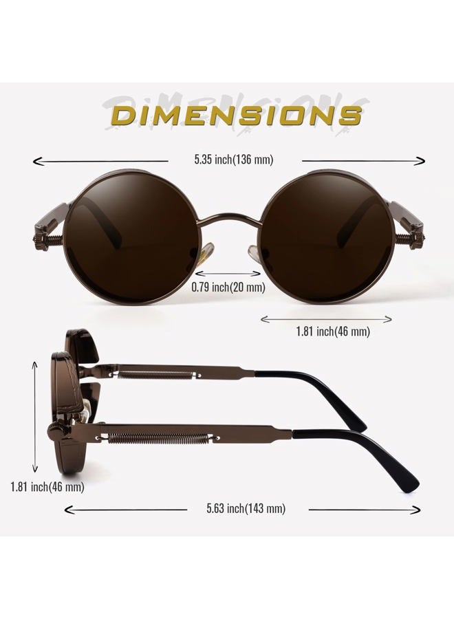 GQUEEN Retro Round Circle Steampunk Polarized Sunglasses Metal Alloy for Men Women MTS2 - Image 5