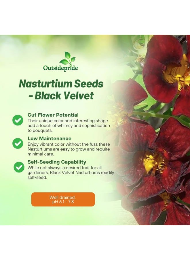 Outsidepride Tom Thumb Black Velvet Nasturtium Seeds - 200 Pcs Annual, Easy to Grow & Versatile, Flower Seeds for Planting Vibrant Blooms, Ideal for Gardens, Borders, and Pollinator Gardens - Image 3
