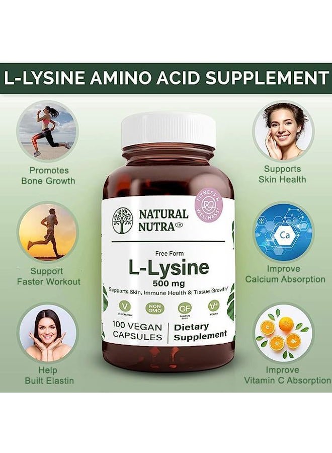 Natural Nutra L ليسين HCl، يعزز صحة العظام والنمو، يدعم صحة الجلد، يحسن امتصاص فيتامين C، يساعد في بناء الكولاجين، يحسن امتصاص الكالسيوم، غير معدّل وراثيًا، نباتي، 500 ملغ، 100 كبسولة. - Image 4