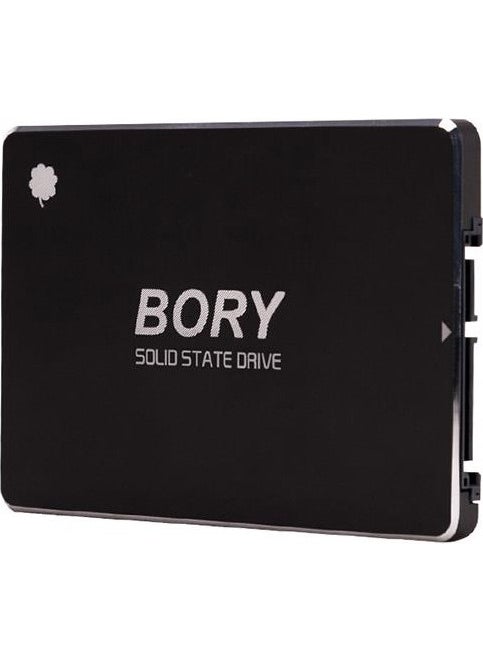 Bory - 256 GB Sata3 R500-C256G SSD 550/510 Mbs (3 Years Warranty) - Image 1