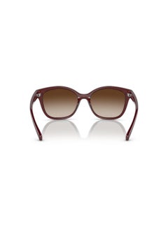 Armani Exchange Full Rim Cat Eye Sunglasses 0AX4127S  - Image 4