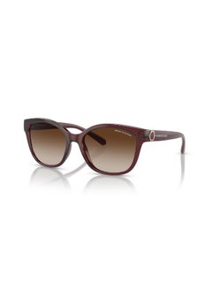 Armani Exchange Full Rim Cat Eye Sunglasses 0AX4127S  - Image 1