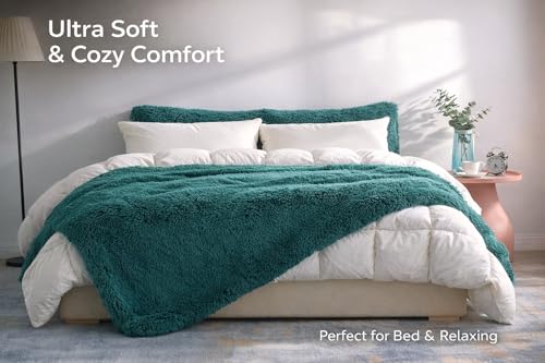Reafort Shaggy Faux Fur Throw Blanket 60" x 70" – Ultra Soft Fluffy Plush Blanket, Double-Sided Cozy Micromink, Lightweight Warm Blanket for Couch, Bed, Sofa, Machine Washable (Evergreen) - Image 5